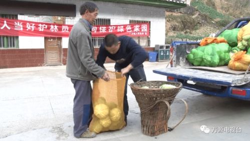 萬源 食用農(nóng)產(chǎn)品憑證上市，打造質(zhì)量安全新名片